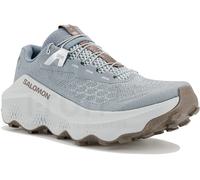 Salomon Ultra Glide 4 Quiver Pack 40 Gris/plata