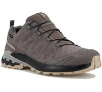 Salomon XA PRO 3D v9 Gore-Tex 39.1/3 Gris/plata