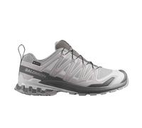 Salomon XA Pro 3D V9 GORE-TEX zapatillas de trail running para hombre | EU 43.3 in Alloy/Castlerock/Lunar Rock