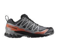 Salomon Xa Pro 3D V9 GTX Turbulence/Black/Burnt Ochre Calzado de running de hombre UK 9,5