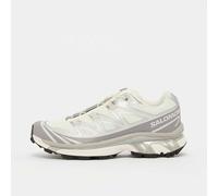 Salomon XT-6 plata 40
