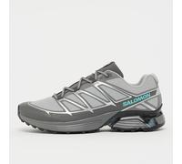 Salomon XT-Pathway gris 42