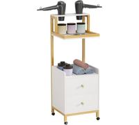 Salon Trolley Cart with 4 Wheels & 2 Drawers - Rolling Hair Stylist Dryer Holder, Open Shelves, for Salon, Spa, Makeup Storage