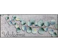 Salonloewe Zapatero Eucalyptus Welcome 030 x 075 cm, felpudo para interior y exterior, lavable