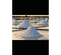 Salt Codes: Electrolytes, Memory & the Liquid Mind (Environmental health. Hormones, mold, food, chemicals)