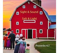 Salt & Light - Redemption: The "Amish" Order (Winship Adventure Series)