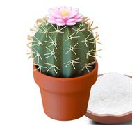 Salt mill pepper mill - mmill | Adjustable ceramic grinder | Salt and pepper shaker bottle peppers mills stainless steel salts mills