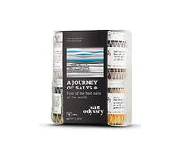Salt Odyssey Set de Sales del Mundo - 4 x 80 g | Sal marina ahumada | Fleur de Sel | Sal marina con cúrcuma, mostaza, curry & zumaque | Sal marina con orégano, sésamo, tomillo & hierbabuena