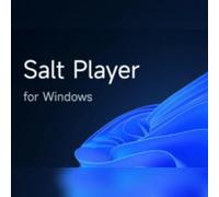 Salt Player for Windows (PC) Steam Gift - GLOBAL