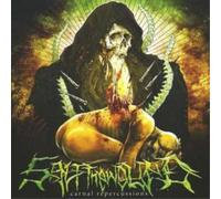 Salt the Wound – Carnal Repercussions – CD – Importación USA