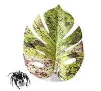 Salto de hoja de araña - PP, Realistic Leaf Shape Decor,Construcción resistente al desgaste | Instalación Fácil,Jumping Spider Accessories for Plants Terrario Serpiente Grow Alfombra Ermitaño