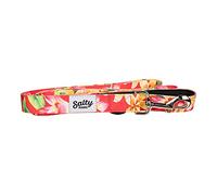 Salty Paws - Correa para perro con estampado floral, asa acolchada para perros pequeños, medianos y grandes a juego (grande de 6 pies para perros de 50 a 100 libras, rosa floral)