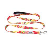 Salty Paws - Correa para perro con estampado floral, asa acolchada para perros pequeños, medianos y grandes a juego (pequeño de 6 pies para perros de hasta 25 libras, rosa floral)
