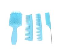 Saluaqui 4 Piezas Set de Peines para Cabello Peine Desenredante (Box