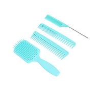 Saluaqui 4 Piezas Set de Peines para Cabello Peine Desenredante (Box