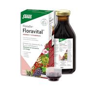 Salus Suplemento de Hierro Floravital – Hierro orgánico y vitaminas B2 B6 B12 C – 250 ml