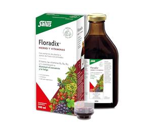 Salus Floradix Suplemento, 500 ml | Con Hierro Organico y Vitaminas B1, B2, B6, B12 y C