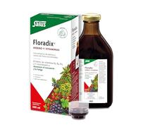 Salus - Floradix Suplemento de Hierro Líquido - 500 ml - Reduce el Cansancio y la Fatiga - Con Hierro Orgánico y Vitaminas B2, B6, B12 y C - Combate la Anemia - Suplementos Vitamínicos