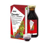 Floradix® 250ml