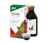Salus Pharma Suplemento de Hierro y Vitaminas Floradix 250 ml – Reduce cansancio y fatiga
