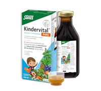 Salus - Floradix-Kindervital Fruity - Complemento Alimenticio en gota para Niños - 250 ml - Aporta Calcio y Vitamina D para el Crecimiento - Elaborado con Hierbas Selectas y Zumos Concentrados