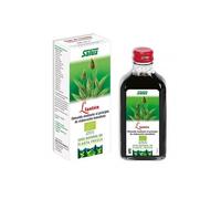 Salus Llantén Expectorante Jarabe 250ml