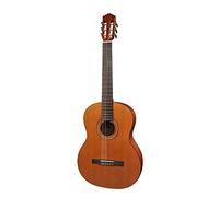 Salvador Cortez CC-22 Serie Artist Guitarra Classic