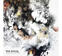 Sam Anning - Across a Field as Vast as One