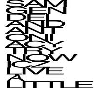 Sam Gendel & Antonia Cytrynowicz - Live a Little [Vinilo]