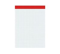 SAM - PACSA Paquete DE 10 Unidades DE Bloc DE Notas con LOMERA SIN Tapa 80 Hojas Papel Offset Blanco DE 60 Gramos Cuadriculado