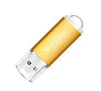 SamData 1 unidad flash USB de 64 GB USB 2.0 unidad de memoria de salto con cremallera, color dorado