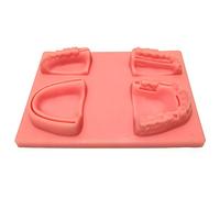 SameeHome Kit de PráCtica de Sutura Dental Kit de PráCtica de Sutura Almohadilla de Sutura para Estudiantes y Estudiantes de Veterinaria, Kit de CapacitacióN