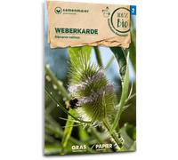 Samen Maier Cardo Bio - 1 paq.