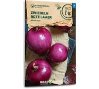 Samen Maier Cebolla Bio - Rote Laaer - 1 paq.