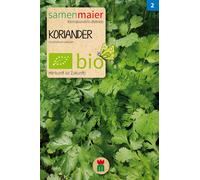 Samen Maier Cilantro Bio - 1 paq.