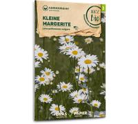Samen Maier Flores Silvestres Bio- Margarita - 1 paq.