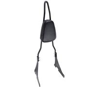 Samger Sissy Bar Respaldo trasero desmontable Fit para Harley Sportster XLH883 XL883R XL883C XLH1200 Negro