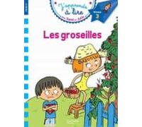 Sami Et Julie Cp Niveau 3 Les Groseilles