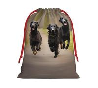 SamLng Bolsa de regalo grande con cordón - Trotting Flat Coated Retrievers Paw perfecta para Navidad, vacaciones y recuerdos de fiesta, bolsas de dulces y bolsas de golosinas
