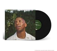Samm Henshaw – It Could Be Worse – Vinilo 12" (Importación USA)