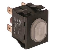 Sammic Interruptor de presión para SL-550B, SL-350B, SL-550BP, SL-290B, ovalado, IP40, 16 A, dimensiones de montaje 30 x 22 mm, iluminado de 2 pines, color blanco, 2NO 250 V