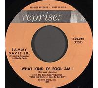 Sammy Davis Jr. - Gonna Build A Mountain / What Kind Of Fool Am I