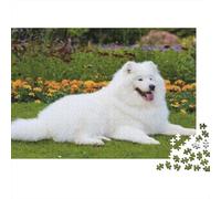 Samojede Herausforderndes Puzzle 1000 Teile für Erwachsene - Weißer Samojede liegt auf Gras inmitten Bunter Blumen - Aus recyceltem Papier - Tolles Geschenk für Familien - 38x26cm