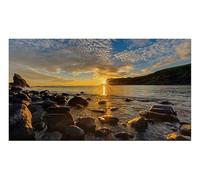 Samsung DIS Public - Pantalla LED IF020R