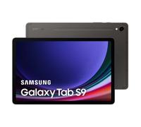 Samsung Galaxy Tab S9 WiFi 12/256GB Gris