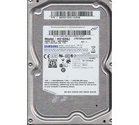 Samsung HE103SJ - Disco Duro Raid Interno de 1 TB (7200 RPM, 8,8cm (3,5 Pulgadas), caché de 32 MB, SATA)