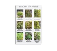 Samsung LS32D800UBUXEN Monitor LCD de 32 pulgadas 4K Ultra HD con hub USB