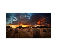 Samsung Samsung VM46B-U Video Wall Pantalla de 46" con bisel ultradelgado, pantalla Full HD, funcionamiento 24/7 y conexión en cadena Displayport/HDMI: ¡ideal