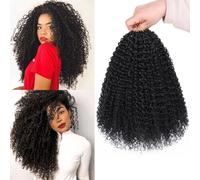 Samtress 12 pulgadas Pre Looped Micro Curly Twist Crochet Hair for Mini Passion Twist 8 paquetes Black Micro Twist Kinky Curly Crochet Hair Synthetic for Black Women (#1B)