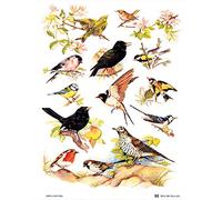 Samuel Lamont British Birds - Paño de Cocina de algodón, Color Blanco, Talla única